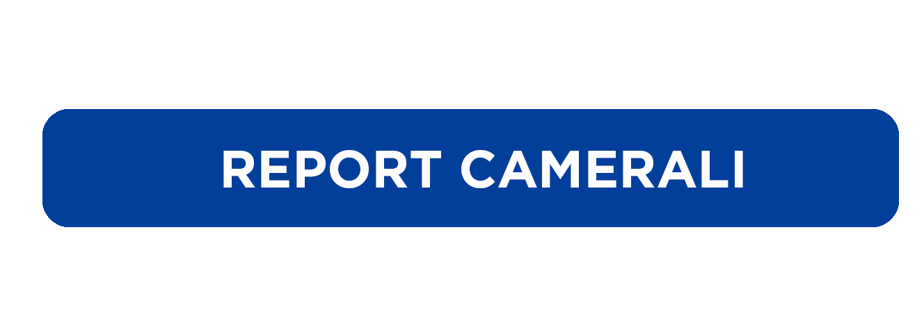 Report Camerali