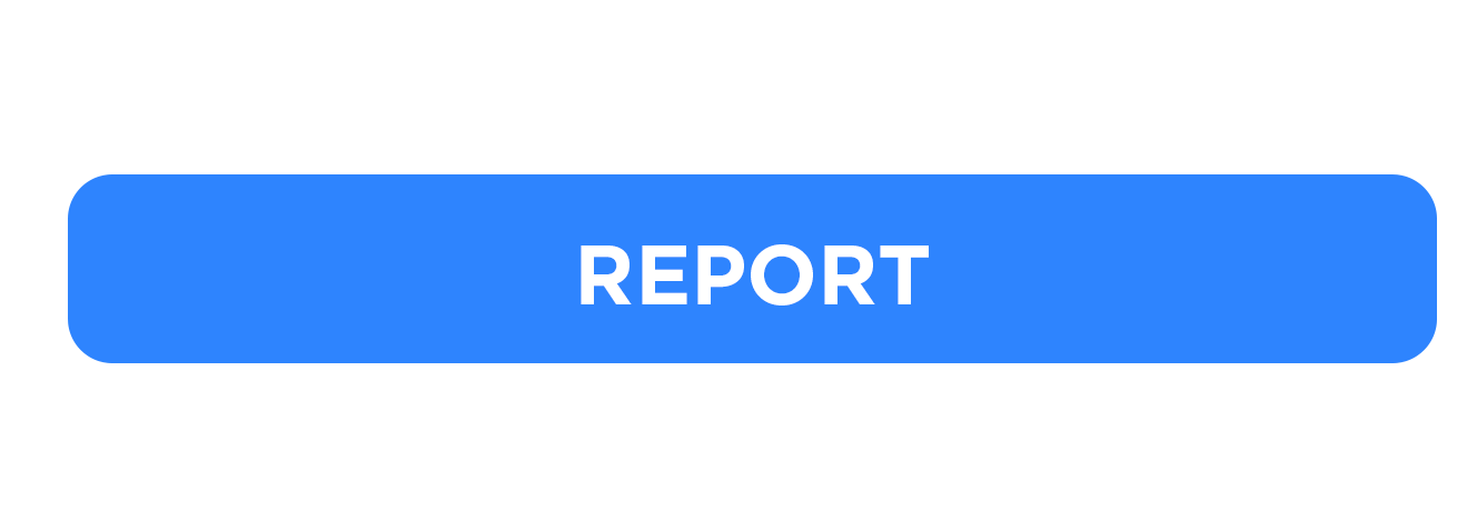 Report