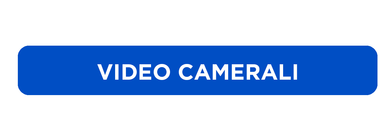 Video Camerali