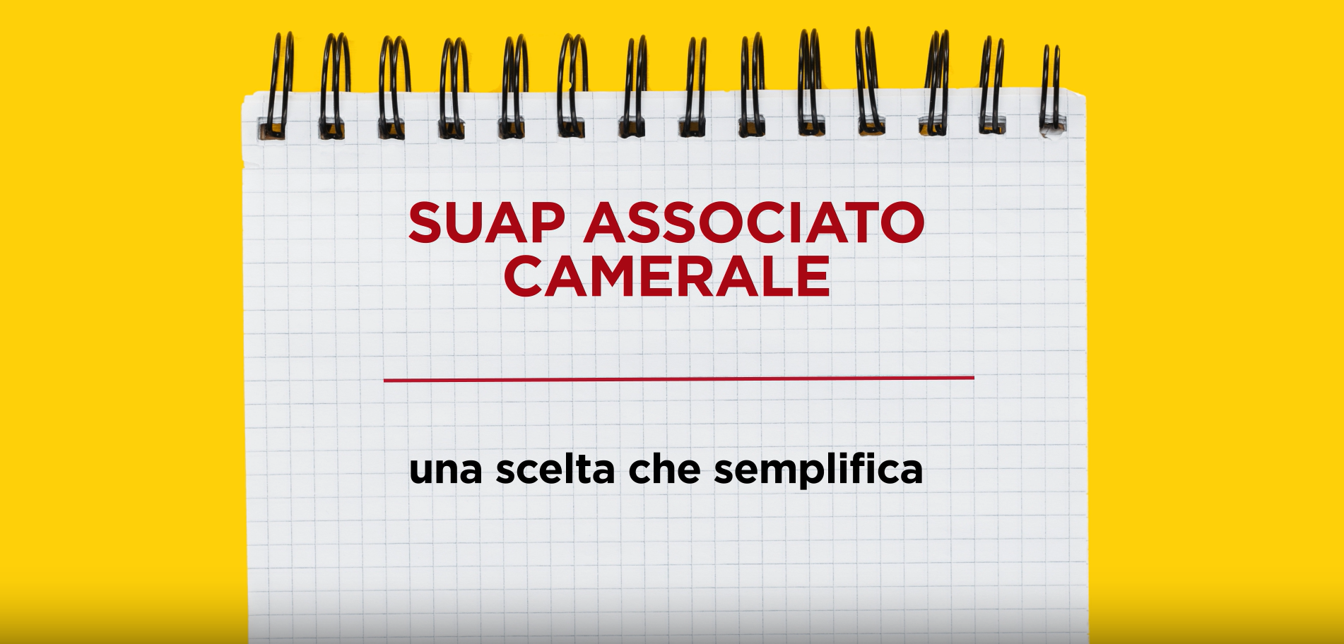 Servizio Suap associato camerale