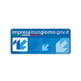 Impresa in un giorno