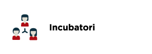 Imprese innovative - Incubatori