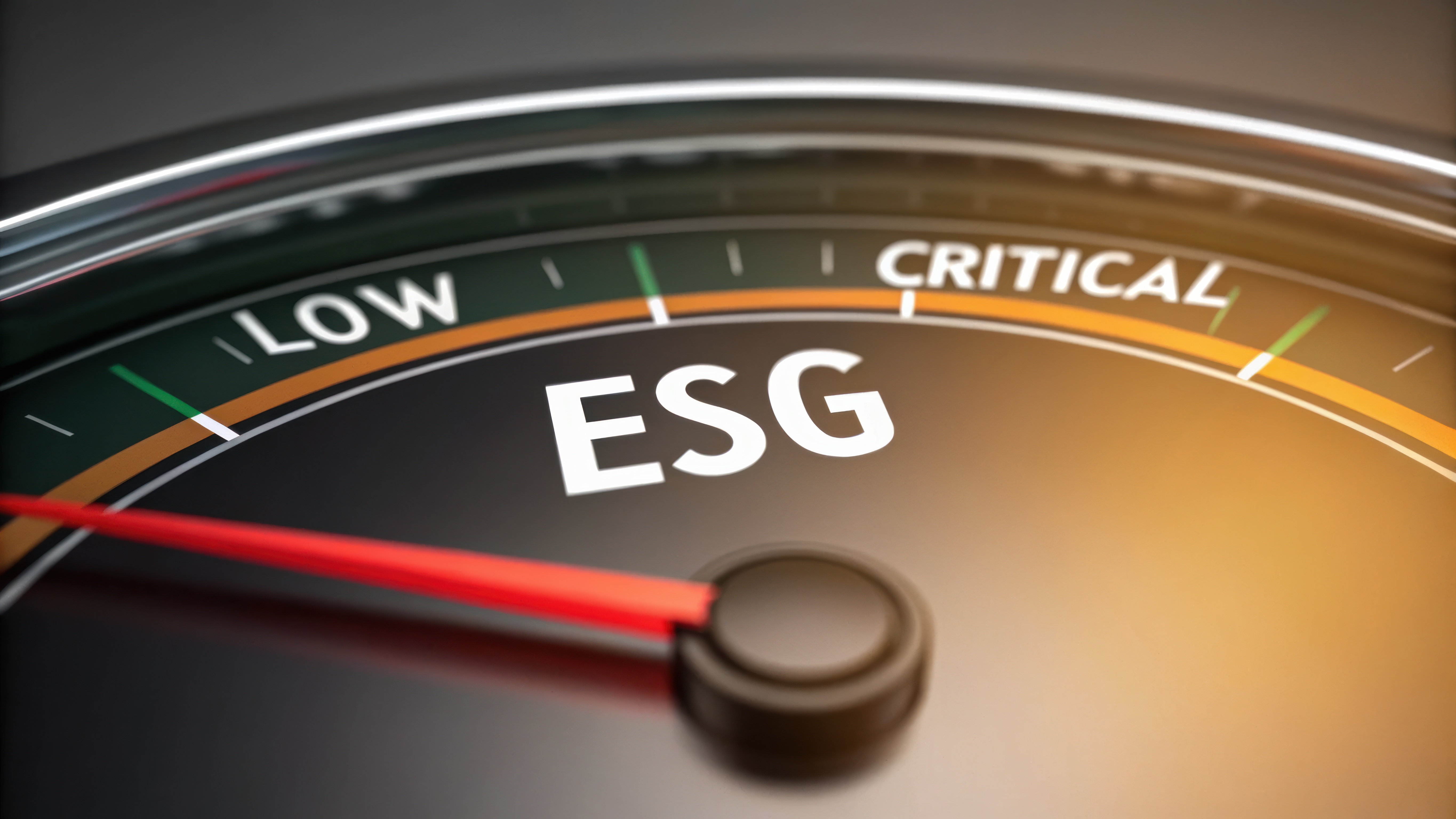 Card ESG - Servizi per le imprese