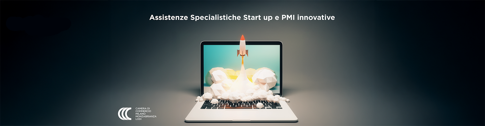 ciclo Startup e PMI Innovative: Tool Box