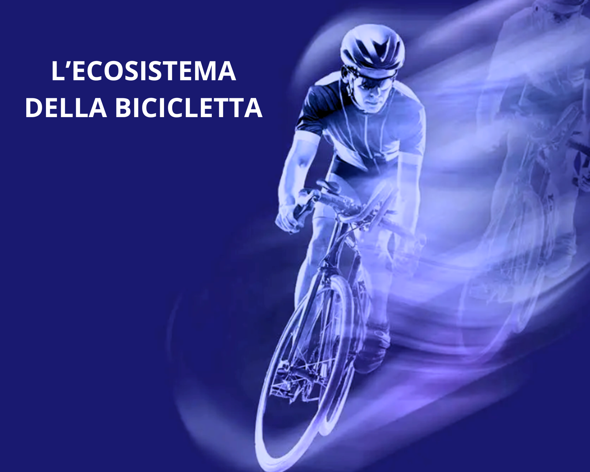 Immagini Bike Network