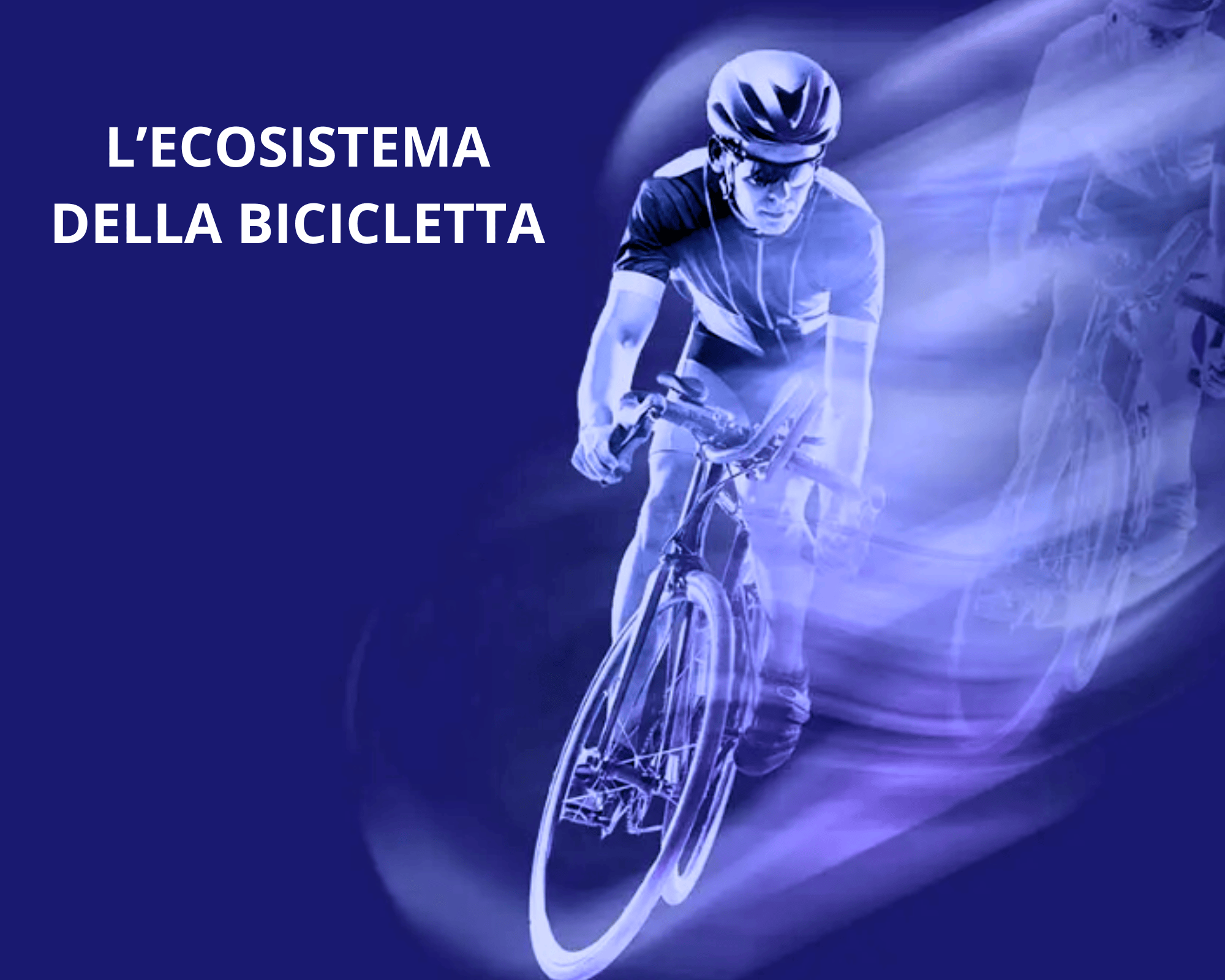 Immagini Bike Network